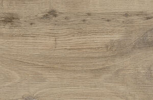 NEBRASKA ELM 23.3X120 LARGE R10