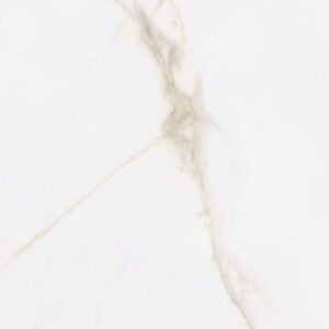 STATUARIO MATE 60X60