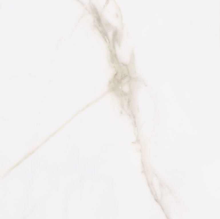 STATUARIO MATE 60X60