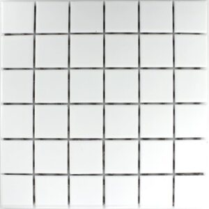 BORNEO WHITE MOSAIC 30x30 R10