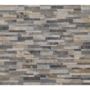 CBCS MULTICOLOR 15X61